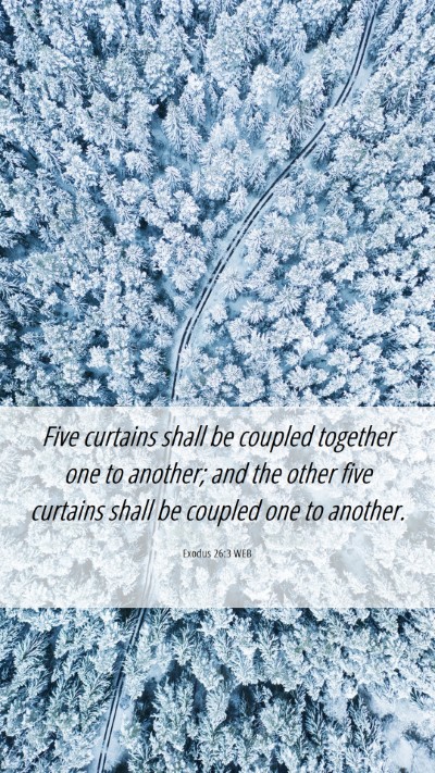 Picture 06 - Exodus 26:3 WEB Mobile Phone Wallpaper - Five curtains shall be coupled together one to - Mobile Bible Verse Wallpaper