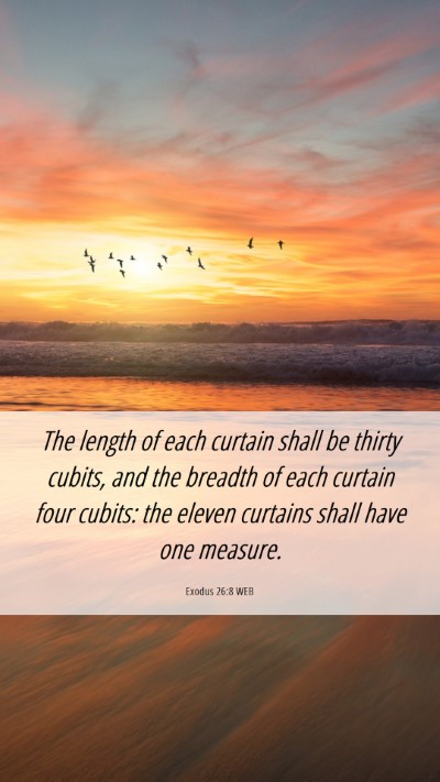 Picture 06 - Exodus 26:8 WEB Mobile Phone Wallpaper - The length of each curtain shall be thirty - Mobile Bible Verse Wallpaper