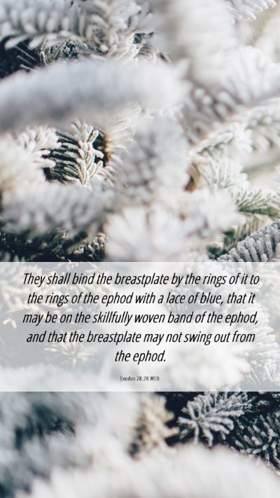 Picture 06 - Exodus 28:28 WEB Mobile Phone Wallpaper - They shall bind the breastplate by the rings of - Mobile Bible Verse Wallpaper