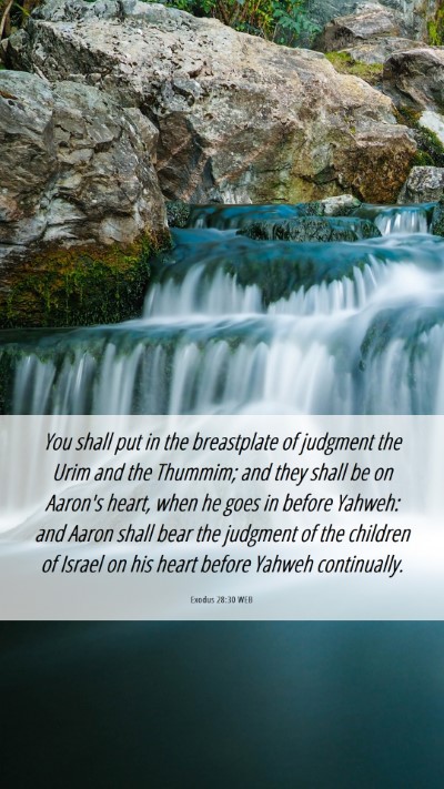 Picture 06 - Exodus 28:30 WEB Mobile Phone Wallpaper - You shall put in the breastplate of judgment the - Mobile Bible Verse Wallpaper
