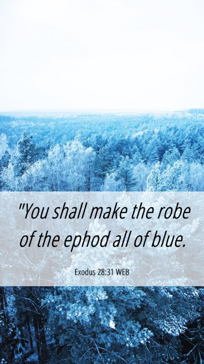 Picture 06 - Exodus 28:31 WEB Mobile Phone Wallpaper - 