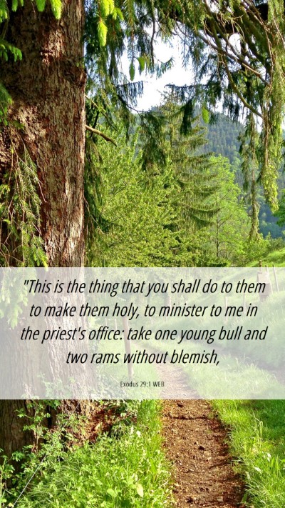 Picture 06 - Exodus 29:1 WEB Mobile Phone Wallpaper - 