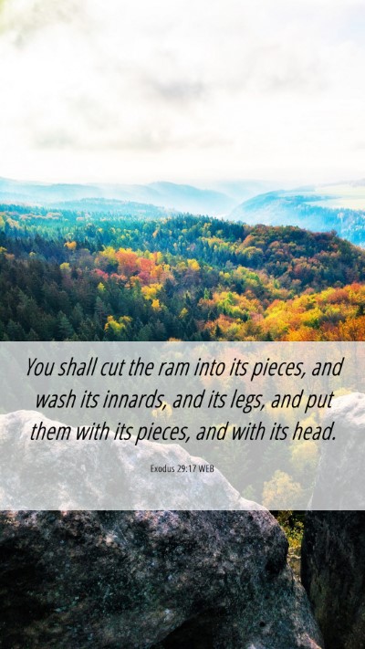 Picture 06 - Exodus 29:17 WEB Mobile Phone Wallpaper - You shall cut the ram into its pieces, and wash - Mobile Bible Verse Wallpaper