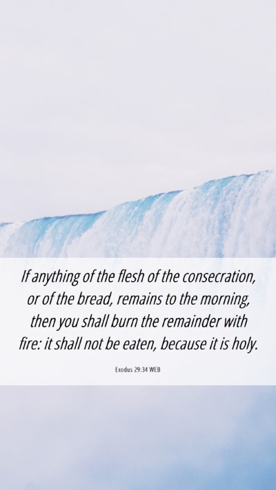 Picture 06 - Exodus 29:34 WEB Mobile Phone Wallpaper - If anything of the flesh of the consecration, or - Mobile Bible Verse Wallpaper