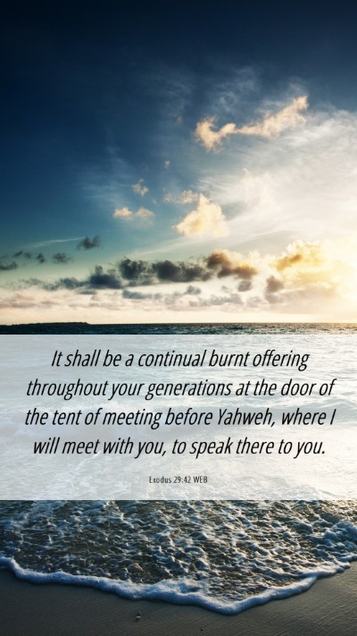 Picture 06 - Exodus 29:42 WEB Mobile Phone Wallpaper - It shall be a continual burnt offering throughout - Mobile Bible Verse Wallpaper