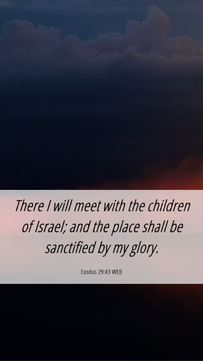 Picture 06 - Exodus 29:43 WEB Mobile Phone Wallpaper - There I will meet with the children of Israel; - Mobile Bible Verse Wallpaper