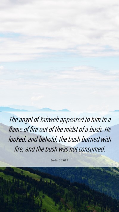 Picture 06 - Exodus 3:2 WEB Mobile Phone Wallpaper - The angel of Yahweh appeared to him in a flame of - Mobile Bible Verse Wallpaper