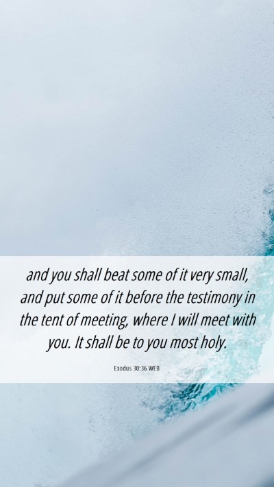 Picture 06 - Exodus 30:36 WEB Mobile Phone Wallpaper - and you shall beat some of it very small, and put - Mobile Bible Verse Wallpaper