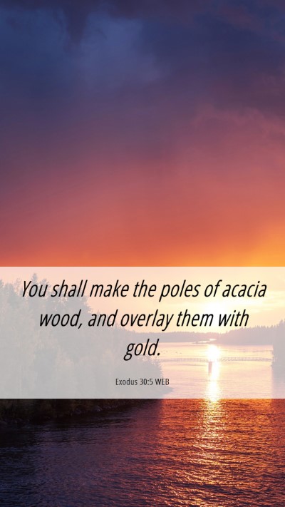 Picture 06 - Exodus 30:5 WEB Mobile Phone Wallpaper - You shall make the poles of acacia wood, and - Mobile Bible Verse Wallpaper
