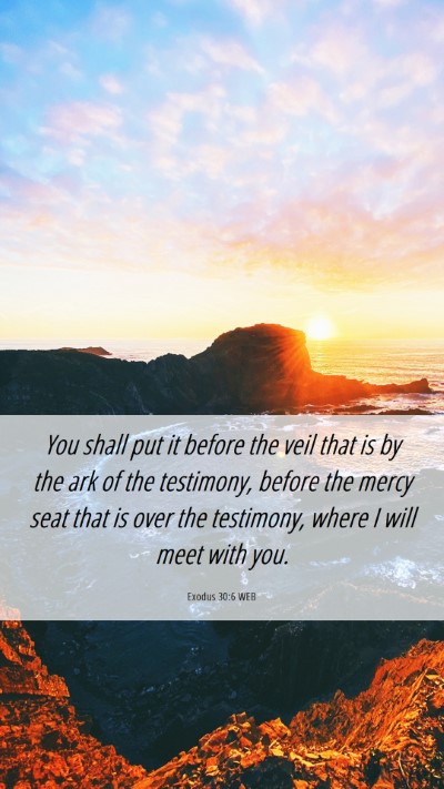 Picture 06 - Exodus 30:6 WEB Mobile Phone Wallpaper - You shall put it before the veil that is by the - Mobile Bible Verse Wallpaper