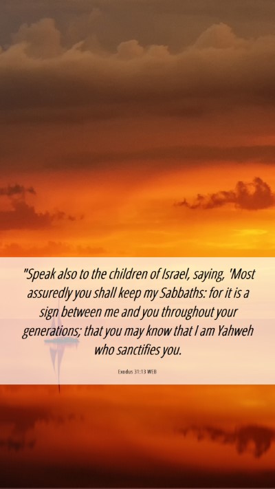 Picture 06 - Exodus 31:13 WEB Mobile Phone Wallpaper - 