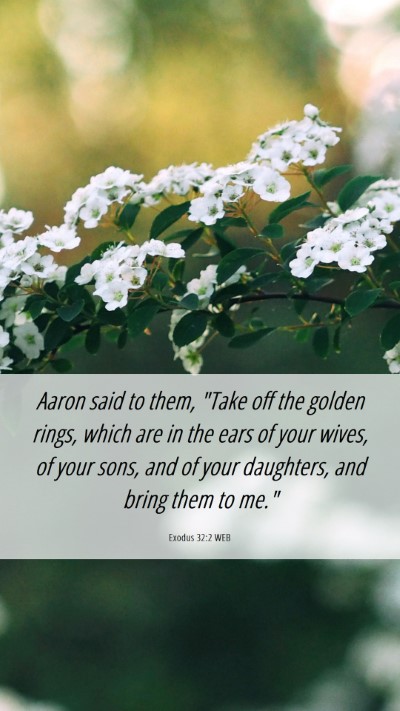 Picture 06 - Exodus 32:2 WEB Mobile Phone Wallpaper - Aaron said to them, 