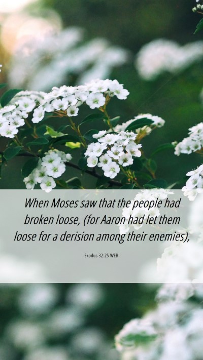 Picture 06 - Exodus 32:25 WEB Mobile Phone Wallpaper - When Moses saw that the people had broken loose, - Mobile Bible Verse Wallpaper