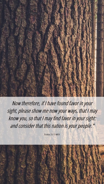 Picture 06 - Exodus 33:13 WEB Mobile Phone Wallpaper - Now therefore, if I have found favor in your - Mobile Bible Verse Wallpaper