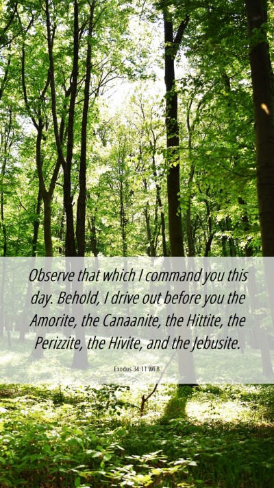 Picture 06 - Exodus 34:11 WEB Mobile Phone Wallpaper - Observe that which I command you this day. - Mobile Bible Verse Wallpaper