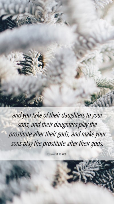 Picture 06 - Exodus 34:16 WEB Mobile Phone Wallpaper - and you take of their daughters to your sons, and - Mobile Bible Verse Wallpaper
