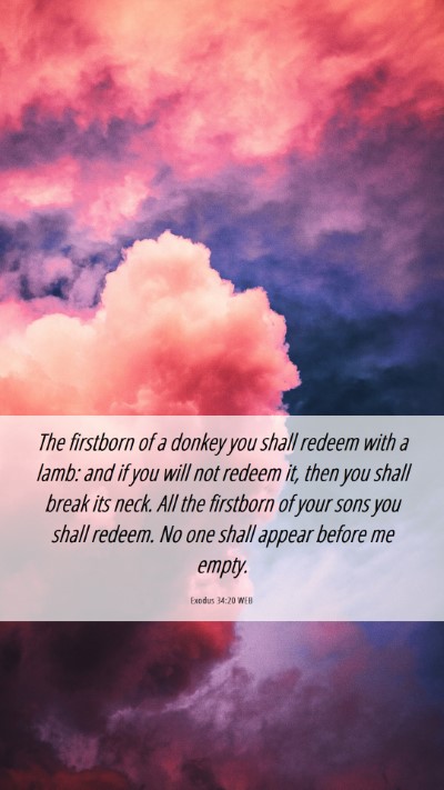 Picture 06 - Exodus 34:20 WEB Mobile Phone Wallpaper - The firstborn of a donkey you shall redeem with a - Mobile Bible Verse Wallpaper