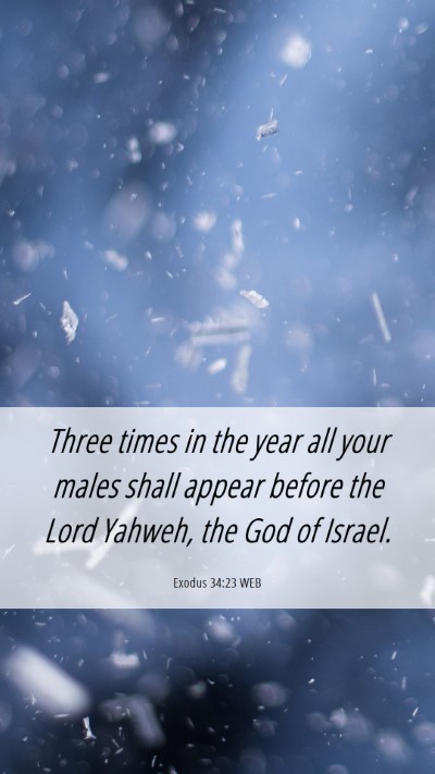 Picture 06 - Exodus 34:23 WEB Mobile Phone Wallpaper - Three times in the year all your males shall - Mobile Bible Verse Wallpaper
