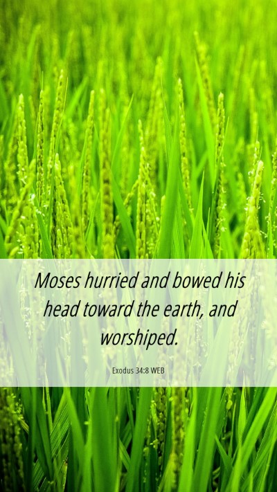 Picture 06 - Exodus 34:8 WEB Mobile Phone Wallpaper - Moses hurried and bowed his head toward the - Mobile Bible Verse Wallpaper