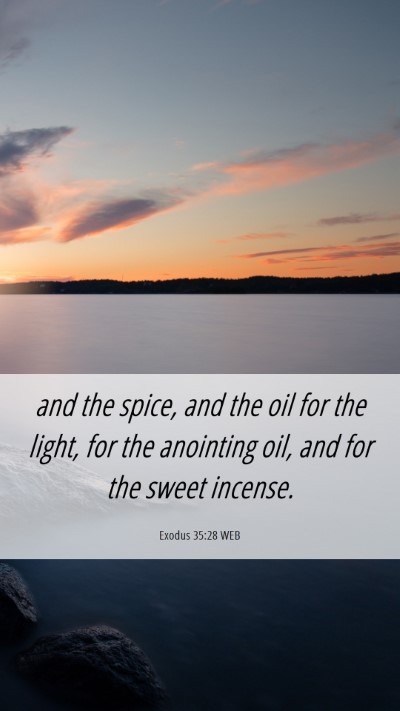 Picture 06 - Exodus 35:28 WEB Mobile Phone Wallpaper - and the spice, and the oil for the light, for the - Mobile Bible Verse Wallpaper