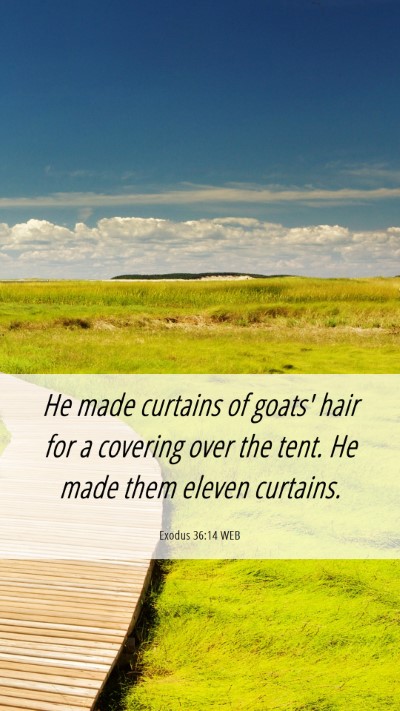 Picture 06 - Exodus 36:14 WEB Mobile Phone Wallpaper - He made curtains of goats' hair for a covering - Mobile Bible Verse Wallpaper