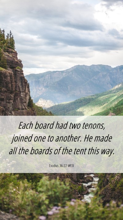 Picture 06 - Exodus 36:22 WEB Mobile Phone Wallpaper - Each board had two tenons, joined one to another. - Mobile Bible Verse Wallpaper