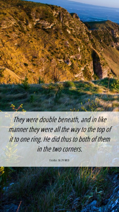 Picture 06 - Exodus 36:29 WEB Mobile Phone Wallpaper - They were double beneath, and in like manner they - Mobile Bible Verse Wallpaper