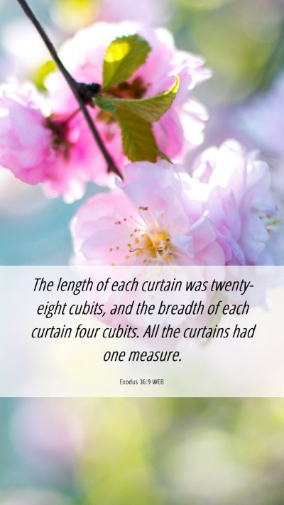 Picture 06 - Exodus 36:9 WEB Mobile Phone Wallpaper - The length of each curtain was twenty-eight - Mobile Bible Verse Wallpaper