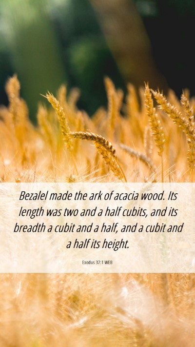 Picture 06 - Exodus 37:1 WEB Mobile Phone Wallpaper - Bezalel made the ark of acacia wood. Its length - Mobile Bible Verse Wallpaper