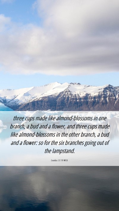 Picture 06 - Exodus 37:19 WEB Mobile Phone Wallpaper - three cups made like almond-blossoms in one - Mobile Bible Verse Wallpaper