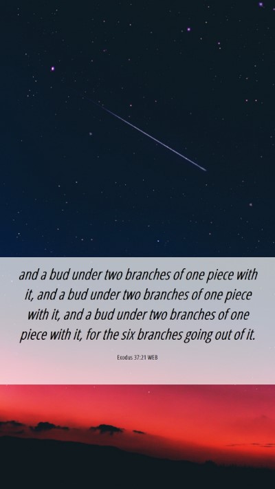 Picture 06 - Exodus 37:21 WEB Mobile Phone Wallpaper - and a bud under two branches of one piece with - Mobile Bible Verse Wallpaper