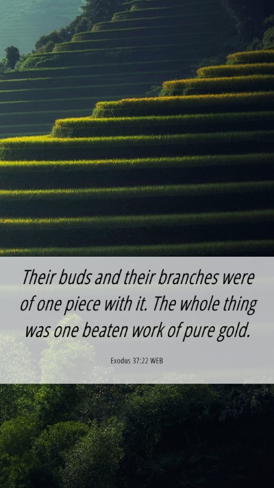 Picture 06 - Exodus 37:22 WEB Mobile Phone Wallpaper - Their buds and their branches were of one piece - Mobile Bible Verse Wallpaper