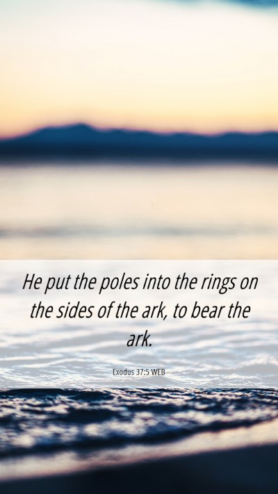Picture 06 - Exodus 37:5 WEB Mobile Phone Wallpaper - He put the poles into the rings on the sides of - Mobile Bible Verse Wallpaper