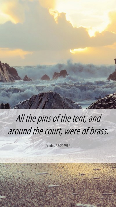 Picture 06 - Exodus 38:20 WEB Mobile Phone Wallpaper - All the pins of the tent, and around the court, - Mobile Bible Verse Wallpaper
