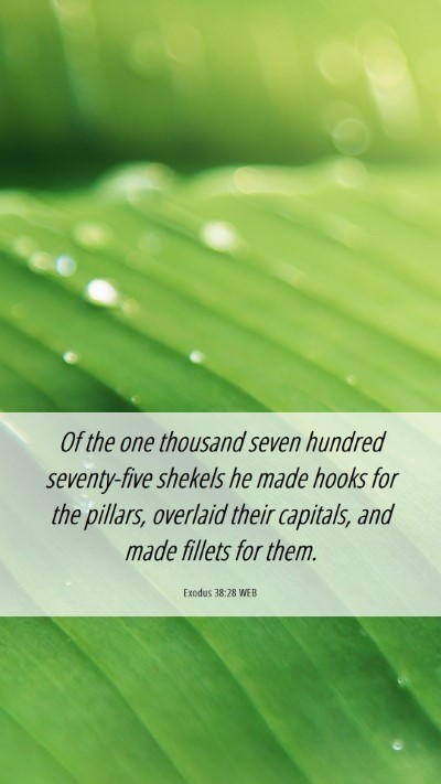 Picture 06 - Exodus 38:28 WEB Mobile Phone Wallpaper - Of the one thousand seven hundred seventy-five - Mobile Bible Verse Wallpaper