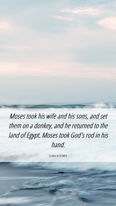 Picture 06 - Exodus 4:20 WEB Mobile Phone Wallpaper - Moses took his wife and his sons, and set them on - Mobile Bible Verse Wallpaper