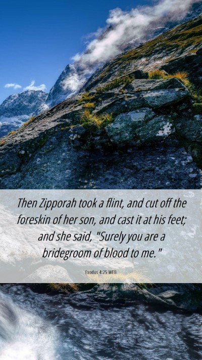 Picture 06 - Exodus 4:25 WEB Mobile Phone Wallpaper - Then Zipporah took a flint, and cut off the - Mobile Bible Verse Wallpaper