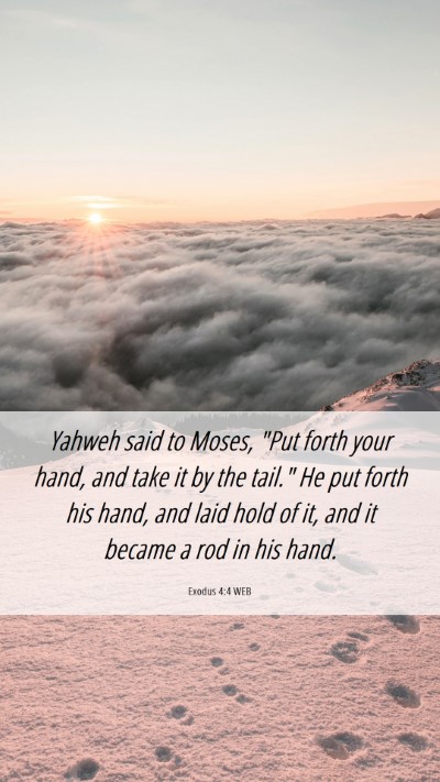 Picture 06 - Exodus 4:4 WEB Mobile Phone Wallpaper - Yahweh said to Moses, 