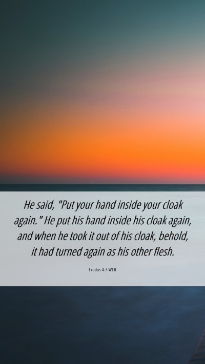Picture 06 - Exodus 4:7 WEB Mobile Phone Wallpaper - He said, 