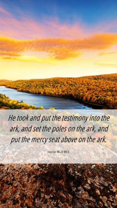 Picture 06 - Exodus 40:20 WEB Mobile Phone Wallpaper - He took and put the testimony into the ark, and - Mobile Bible Verse Wallpaper
