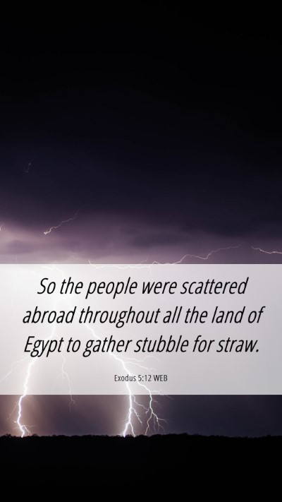 Picture 06 - Exodus 5:12 WEB Mobile Phone Wallpaper - So the people were scattered abroad throughout - Mobile Bible Verse Wallpaper