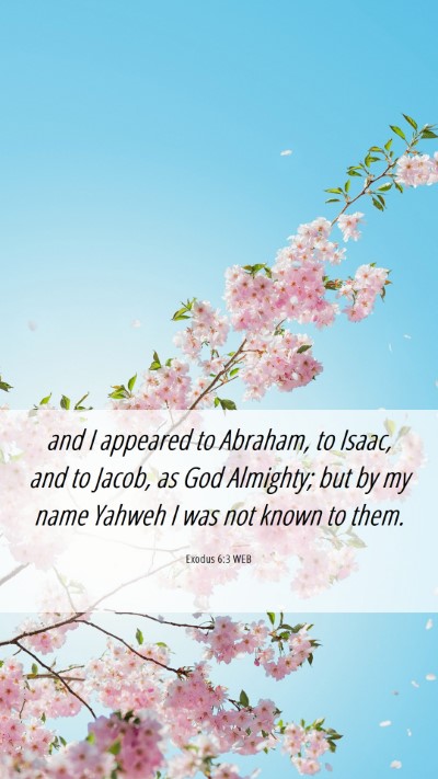 Picture 06 - Exodus 6:3 WEB Mobile Phone Wallpaper - and I appeared to Abraham, to Isaac, and to - Mobile Bible Verse Wallpaper