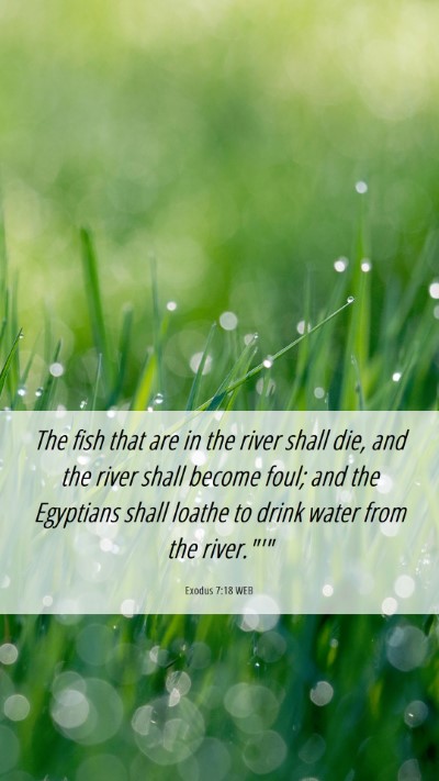Picture 06 - Exodus 7:18 WEB Mobile Phone Wallpaper - The fish that are in the river shall die, and the - Mobile Bible Verse Wallpaper