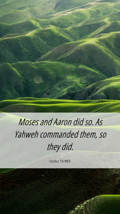 Picture 06 - Exodus 7:6 WEB Mobile Phone Wallpaper - Moses and Aaron did so. As Yahweh commanded them, - Mobile Bible Verse Wallpaper