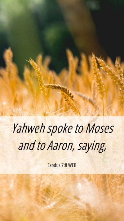 Picture 06 - Exodus 7:8 WEB Mobile Phone Wallpaper - Yahweh spoke to Moses and to Aaron, - Mobile Bible Verse Wallpaper