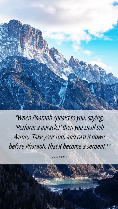 Picture 06 - Exodus 7:9 WEB Mobile Phone Wallpaper - 