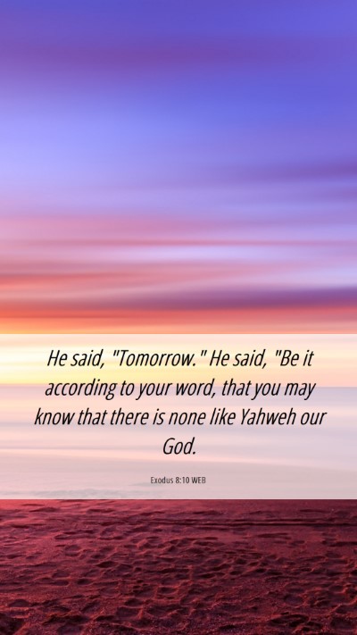 Picture 06 - Exodus 8:10 WEB Mobile Phone Wallpaper - He said, 