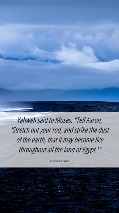 Picture 06 - Exodus 8:16 WEB Mobile Phone Wallpaper - Yahweh said to Moses, 