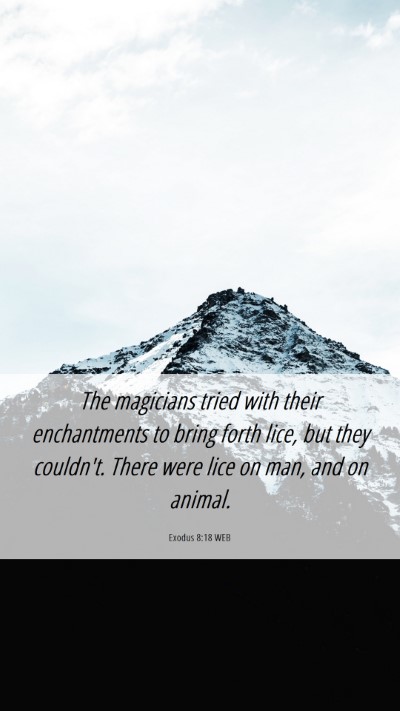 Picture 06 - Exodus 8:18 WEB Mobile Phone Wallpaper - The magicians tried with their enchantments to - Mobile Bible Verse Wallpaper