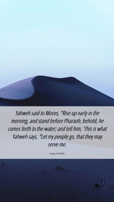 Picture 06 - Exodus 8:20 WEB Mobile Phone Wallpaper - Yahweh said to Moses, 